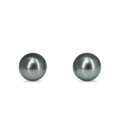 18ct White Gold 8.5mm Black Tahitian Pearl Stud Earrings