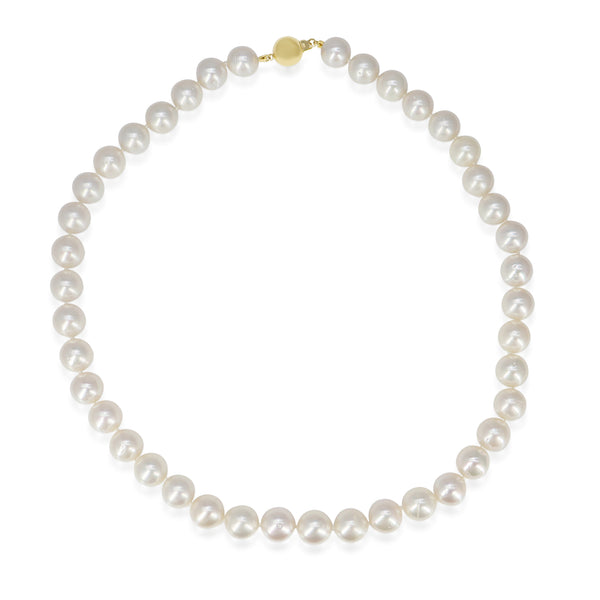 10mm - 11mm South Sea Pearl Strand Necklace on 9ct Yellow Gold Clasp