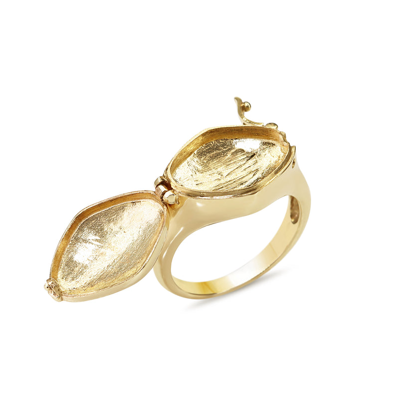 9ct Yellow Gold Poison Ring