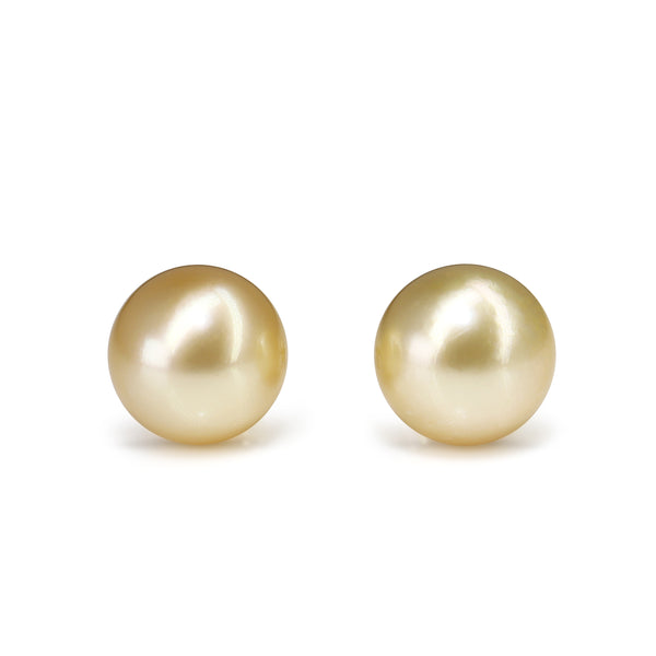 18ct Yellow Gold 12.7mm Golden South Sea Pearl Stud Earrings