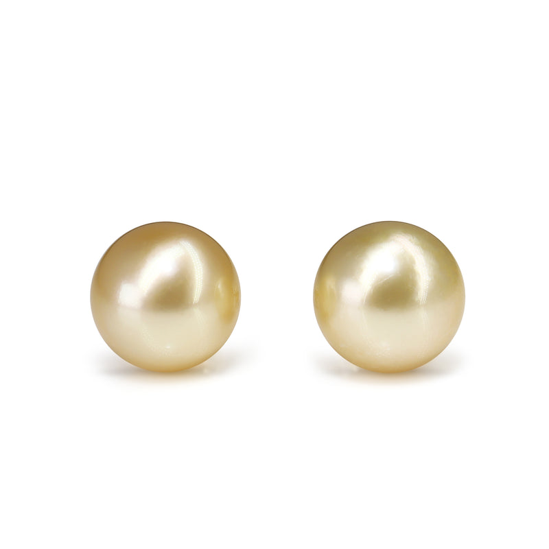 18ct Yellow Gold 12.7mm Golden South Sea Pearl Stud Earrings